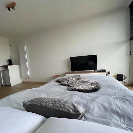 Appartement Work Or Nieuw Santhooft Nieuport