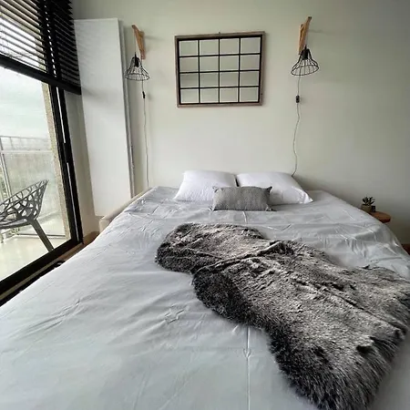 Work Or Nieuw Santhooft Apartman Nieuwpoort